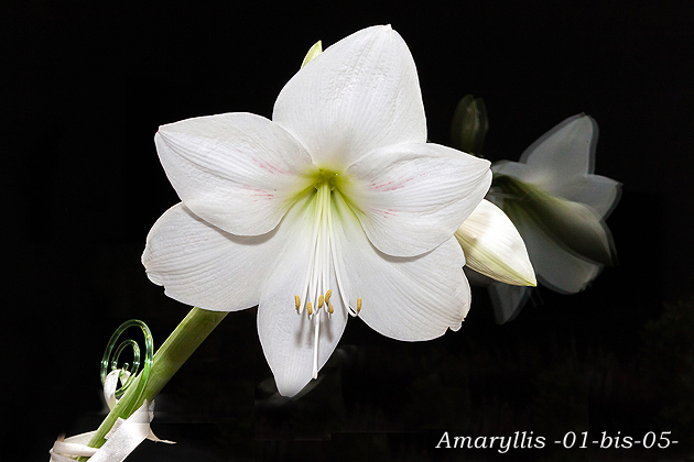 Bilder von Peter Kr�mer