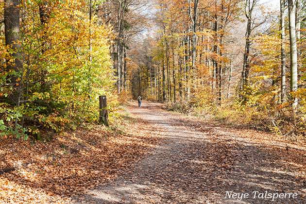 Bilder von Peter Kr�mer