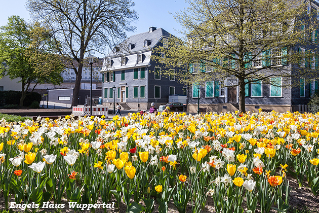 Bilder von Peter Krmer