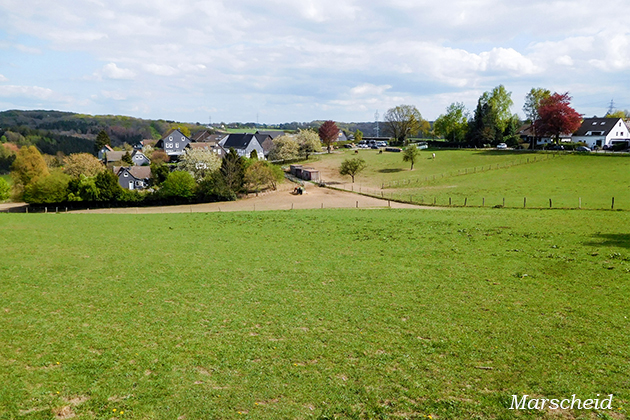 Bilder von Peter Kr�mer