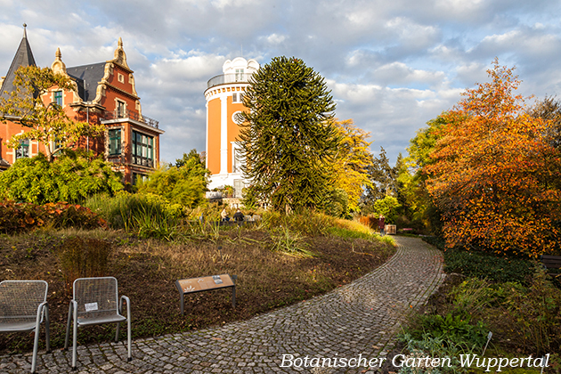 Bilder von Peter Kr�mer